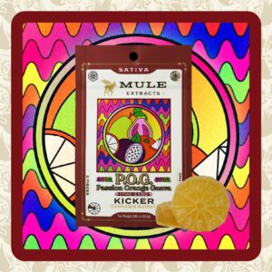 MULE KICKER | 100MG | 1:1 THC:CBD DRAGON FRUIT GUMMY | HYBRID