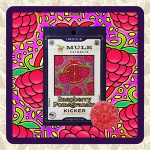 MULE KICKER | 100MG | RASPBERRY POMEGRANTE GUMMY | INDICA