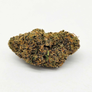 THE GREEN PLANET | PERMANENT MARKER (GP) - INDICA