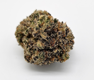 GP FARMS | WHITE CHOCOLATE CHIP (GP) - SATIVA