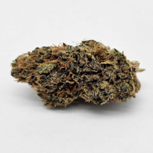 THE GREEN PLANET | JACK MURPHY (GP) - SATIVA