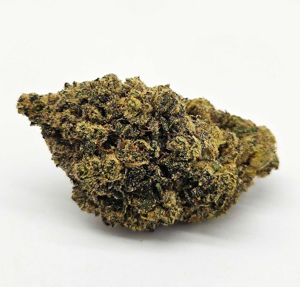 THE GREEN PLANET | ROYAL JESTURE (GP) - INDICA