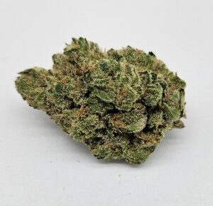 THE GREEN PLANET | CHAMPAIGN PATTIES (ORG) - HYBRID