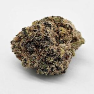 THE GREEN PLANET | LIZARD BURGER (GP) - INDICA