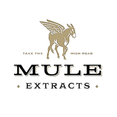 Peachy Muleshine | Sativa | Syrup | 250mg