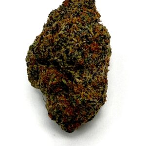 GP FARMS | ICE CREAM CAKE (GP) - INDICA