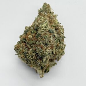 THE GREEN PLANET | GMO ROOTBEER (GP) - INDICA