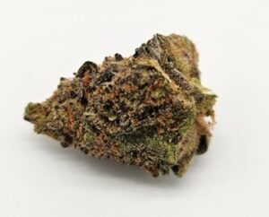 Ebb & Flow | OD TANGERINE TAILS (E&F) - SATIVA