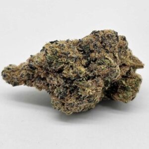 THE GREEN PLANET | GUSH MINTS (GP) - INDICA