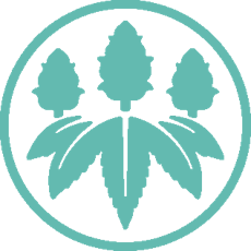 Passion Fruit | 0.75g | Juicy Stickz Infused Pre-Roll | Sativa