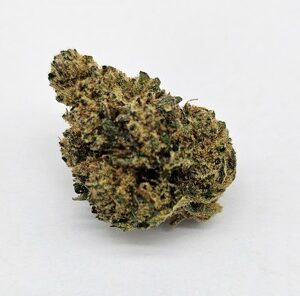 ROGUE RIVER FAMILY FARMS | CHERRY LEMON FROST (RRFF) - HYBRID