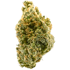 Smashburger | Tangie Burger x KY Jealousy | Green Planet | Hybrid