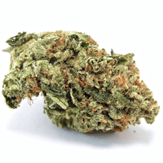 Motor Breath | Chemdawg x SFV OG Kush | Green Planet | Indica