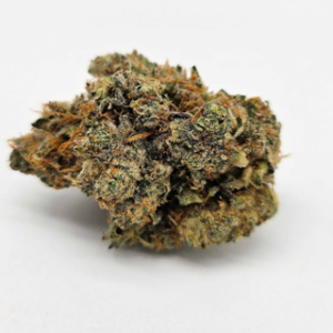 THE GREEN PLANET | B@BY Y0DA (GP) - HYBRID