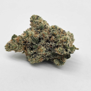 THE GREEN PLANET | CAP JUNKY (GP) - HYBRID