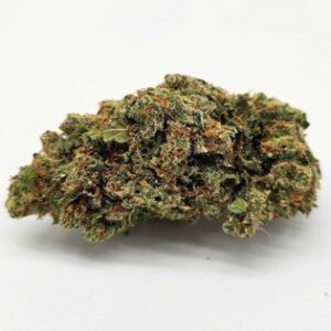 THE GREEN PLANET | JACK HERER (GP) - SATIVA