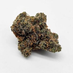 THE GREEN PLANET | SWISS WATCH (GP) - INDICA