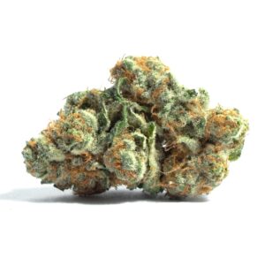 OD STREET TARTS (E&F) | BULK FLOWER | HYBRID
