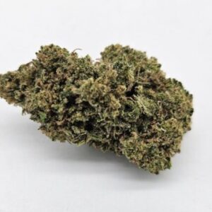 OREGON ROOTS | OD ALIEN DREAMS (OR) - SATIVA