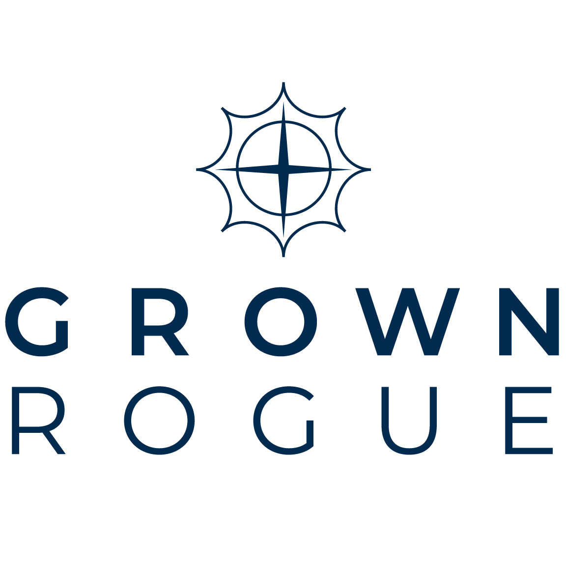 1.5G 3 Pack | Rizz Factor x Rainbow Rizz | Live Resin Infused Prerolls | Hybrid