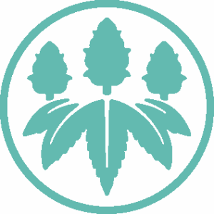 AVITAS | 5G | . PRE - ROLLS SUPER GREMLIN - INDICA