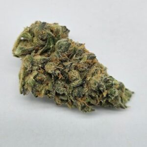 8 BAGEL (GP FARMS) | BULK FLOWER | INDICA