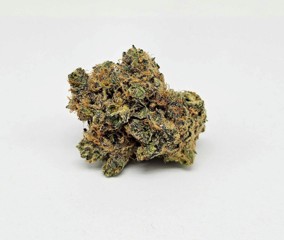 B@BY Y0DA (GP) - HYBRID