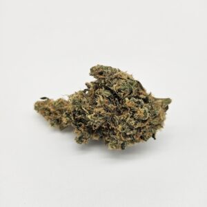 Blue Dream | Blueberry x Haze | Bulk Flower | Sativa Hybrid | Oregon Roots