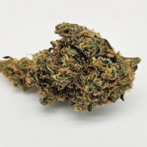 Blue Dream | Blueberry x Haze | Bulk Flower | Sativa Hybrid | Oregon Roots