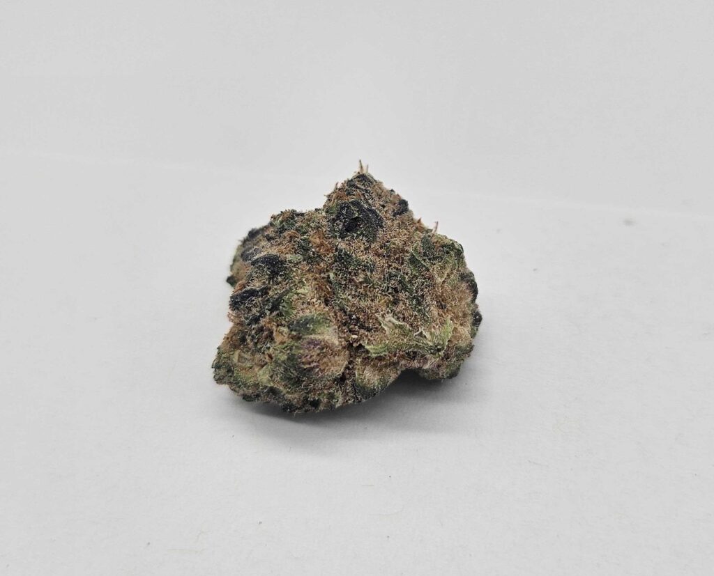 CHERRY DOSI (GP FARMS) - INDICA