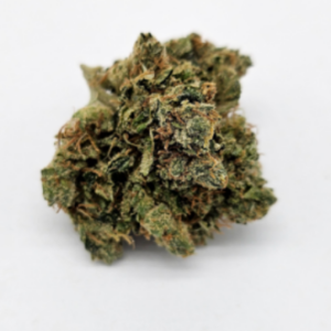 THE GREEN PLANET | DAWGWALKER (GP) - INDICA