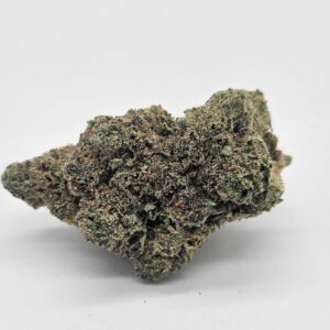 DOSI DASH (GP FARMS) - HYBRID