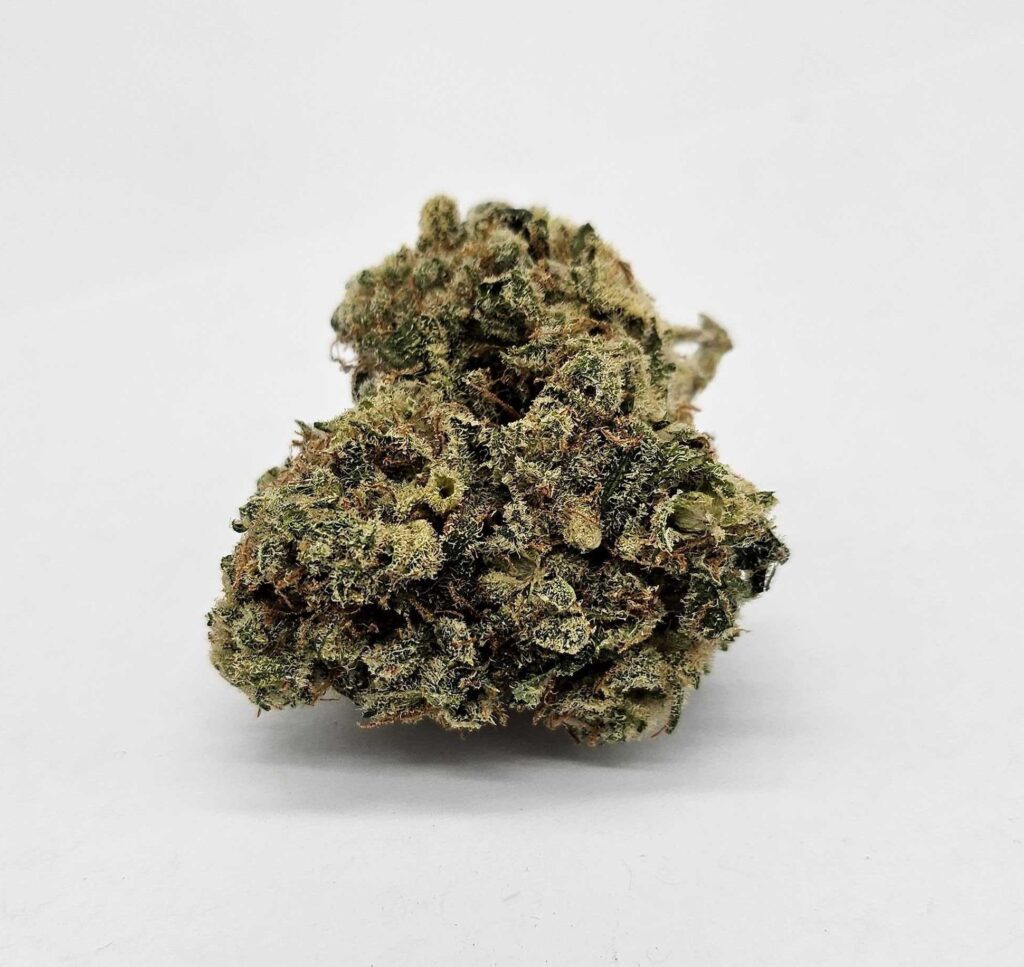 GMO ROOTBEER (GP FARMS) - INDICA