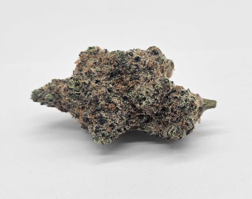 GARY PAYTON (GP FARMS) - HYBRID