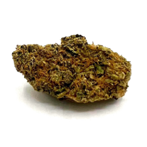 THE GREEN PLANET | GASOLINE LOLLIPOP (GP) - HYBRID