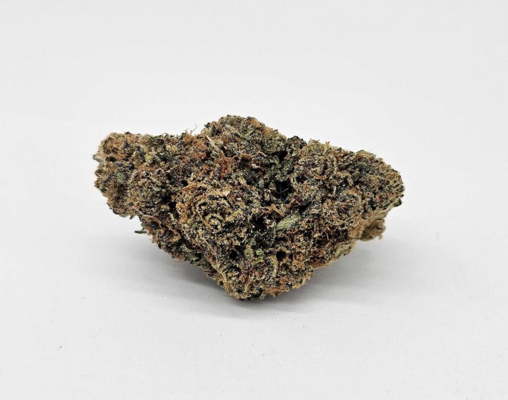 GUAVA TART (GP FARMS) - SATIVA