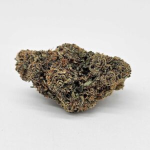 GUAVA TART (GP FARMS) - SATIVA