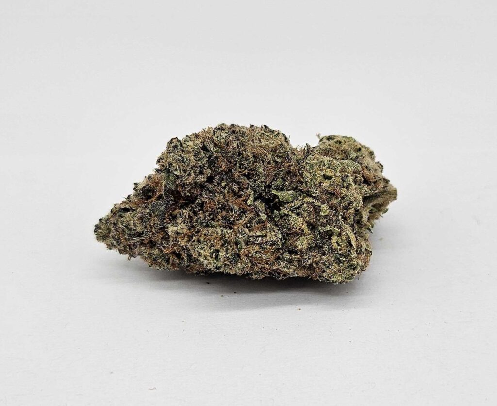 HASH BURGER (GP FARMS) - INDICA
