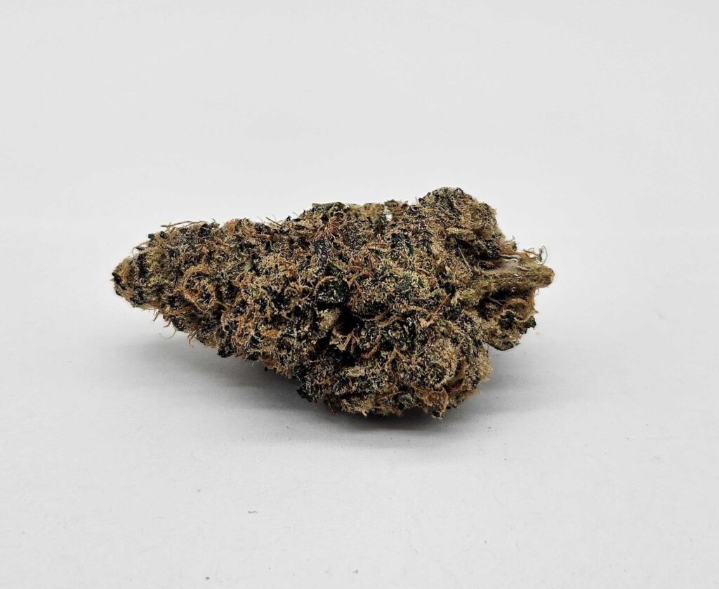 JACK MURPHY (GP FARMS) - SATIVA