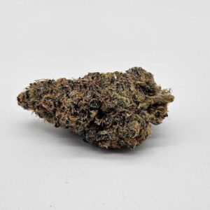 JACK MURPHY (GP FARMS) - SATIVA