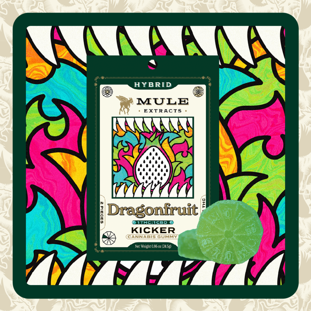 MULE 100MG 1:1 THC/CBD DRAGON FRUIT GUMMY - HYBRID