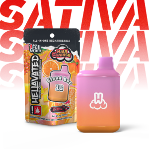 Maui Sunrise | 1g | AiO Flavored Distillate Cartridge | Sativa