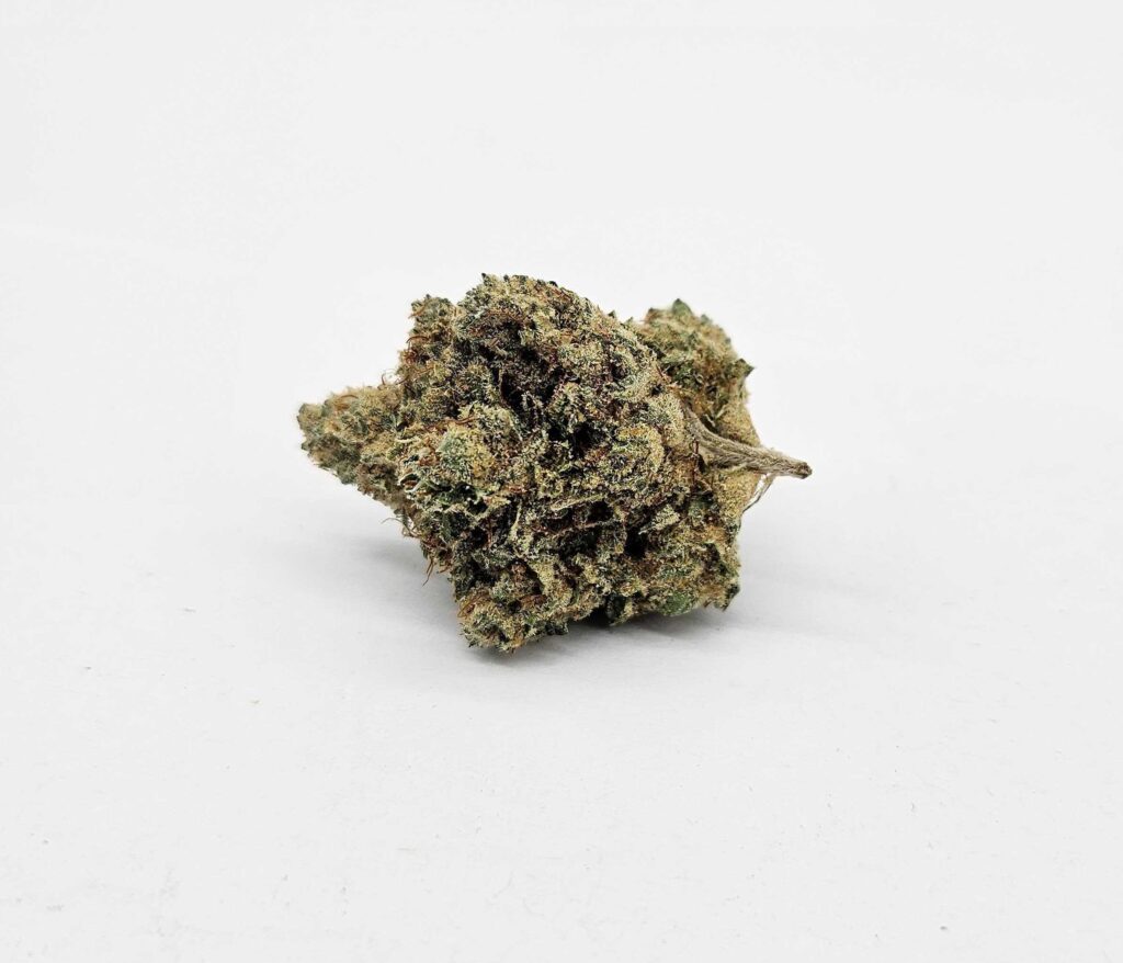 MOTOR BREATH (GP) - INDICA