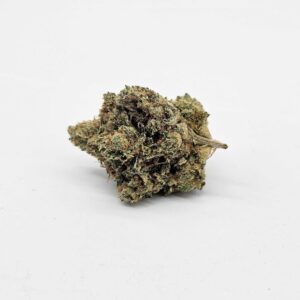 MOTOR BREATH (GP) - INDICA