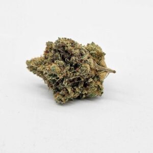 MOTOR BREATH (GP) - INDICA