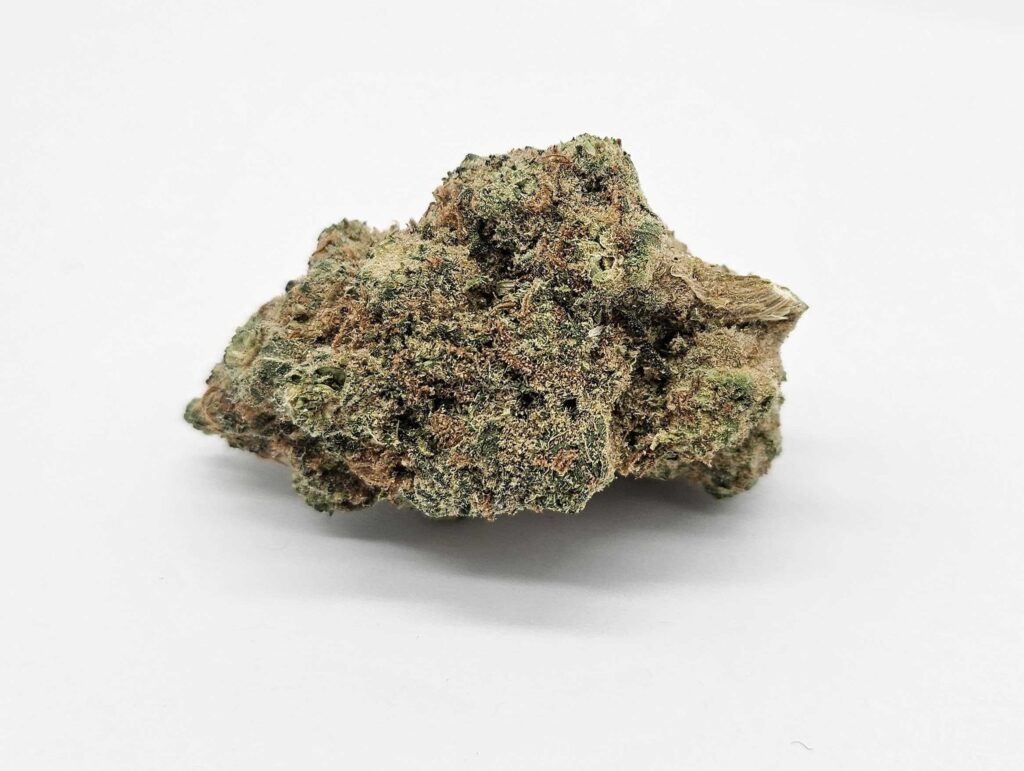 PAPAYA JUICE (GP) - INDICA