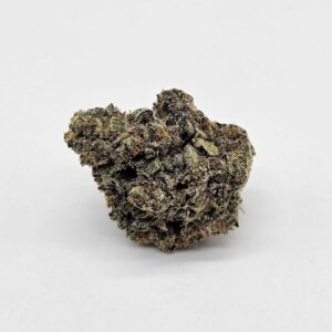 RED PAVÉ (GP FARMS) - HYBRID