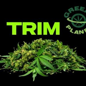 Milmar LLC | EMERALD LANTZ (MIL) - SATIVA