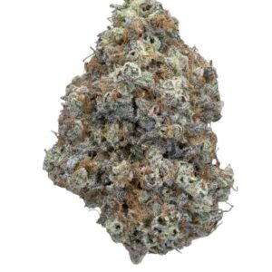 OD MAC (OREGON ROOTS) - SATIVA