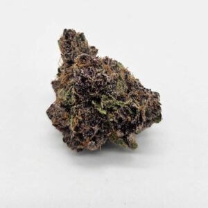 MERAKI GARDENS | BEACH GRAPES (MERAKI) - HYBRID